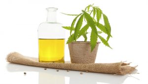 тгк, кбд, thc, cbd, каннабис, марихуана, 420, медицинский каннабис, медицинская марихуана, medical marijuana, medical cannabis, mj, weed, cannabidiol, tetrahydrocannabinol,