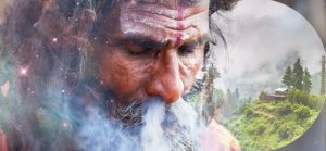 чарас, история происходждения, как сделать чарас, индийское лакомство