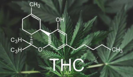 Как измеряется процент THC у сортов марихуаны
